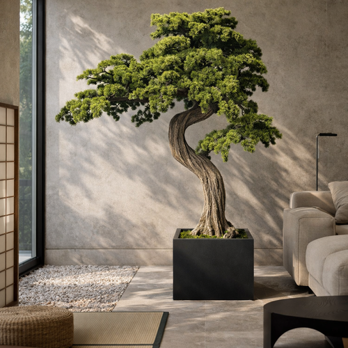 Bonsai Escultural de Grande Porte Block M