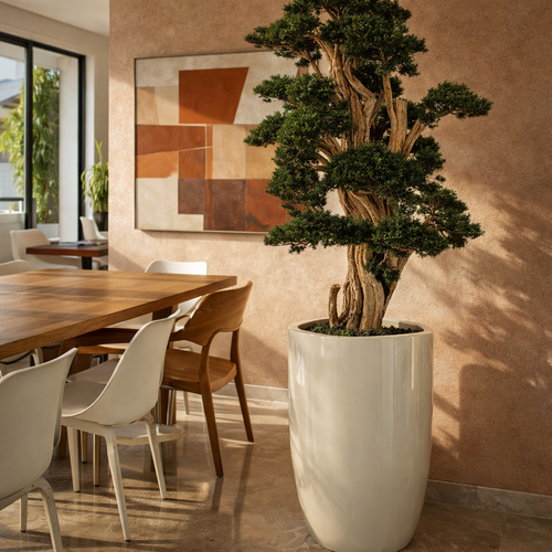 Bonsai Escultural de Grande Porte no Vaso Brannan